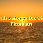 Başarılı 5 Konya Dış Ticaret Firmaları