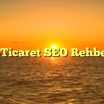 E-Ticaret SEO Rehberi