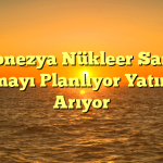 Endonezya Nükleer Santral Kurmayı Planlıyor Yatırımcı Arıyor