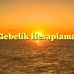 Gebelik Hesaplama