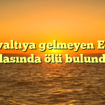 Kahvaltıya gelmeyen Emine odasında ölü bulundu.