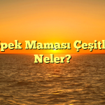 Köpek Maması Çeşitleri Neler?