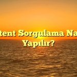 Patent Sorgulama Nasıl Yapılır?