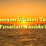 Promosyon Ürünleri Toptan Fırsatları Nasıldır?