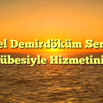 Özel Demirdöküm Servis Tecrübesiyle Hizmetinizde!