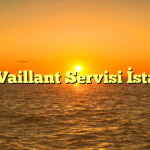 Özel Vaillant Servisi İstanbul