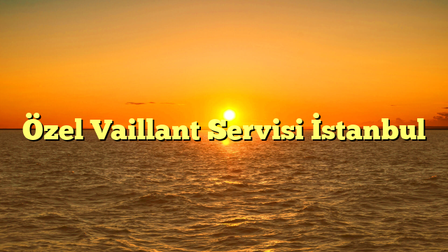 Özel Vaillant Servisi İstanbul