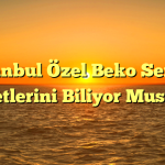 İstanbul Özel Beko Servis Hizmetlerini Biliyor Musunuz?